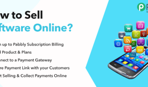 How to Sell Digital Software Products on Online Marketplaces Effectively How to Sell Digital Software Products on Online Marketplaces Effectively