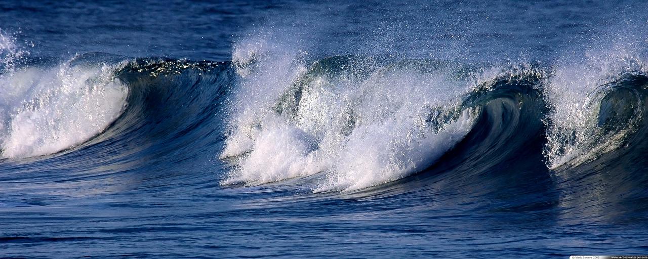 Vertical Wallpaper - Wave Wave tools therapy