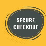 Secure checkout systems for software sales elevate security
