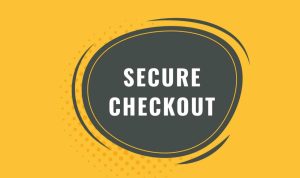 Secure checkout systems for software sales elevate security Secure checkout systems for software sales elevate security