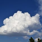 Cloud software pricing comparison guide made easy