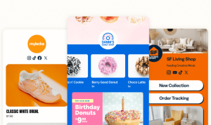 Bitly Premium Review Analyzing Custom Short Links and Data Tracking