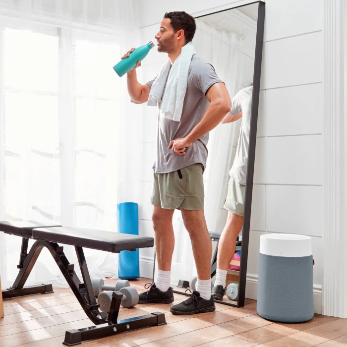 Bitly Enterprise Review Professional Link Management and Analytics