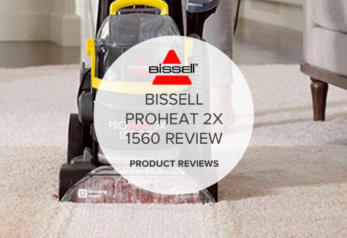 Bissell ProHeat 2X Lift-Off Pet Review Versatile Carpet Cleaning