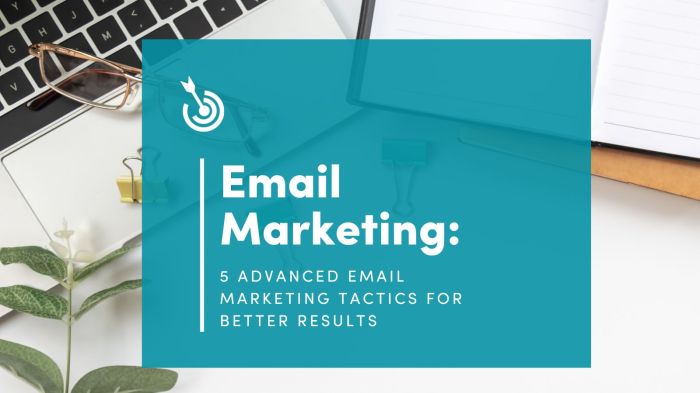 Mailchimp Premium Review Advanced Email Marketing Automation Analysis
