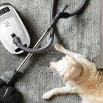 Miele Complete C3 Alize Canister Vacuum Review