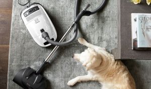 Miele Complete C3 Alize Canister Vacuum Review