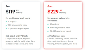 Semrush Guru Review The Ultimate SEO and Market Research Tool Test