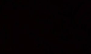 Black+Decker 20V Max Pivot Cordless Hand Vac Review Reach Test