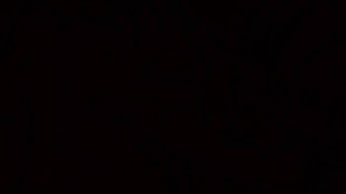 Black+Decker 20V Max Pivot Cordless Hand Vac Review Reach Test