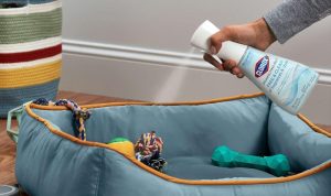 Clorox Free & Clear Disinfecting Wipes Review Safety and Germ-Killing