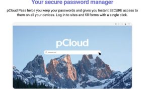 1Password 8 Review The Most Secure Password Manager for Families