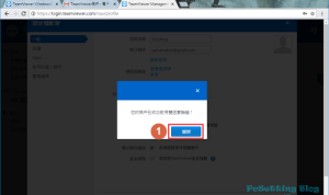 TeamViewer Remote Review Professional IT Support and Access Analysis