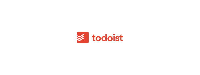 Todoist Business Review Managing Daily Tasks and Team Productivity