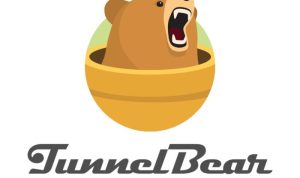 TunnelBear VPN Review The Most User-Friendly Security Tool Test
