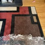 Uproot Clean Pro Pet Hair Tool A Rug and Carpet Deep Cleaning Review