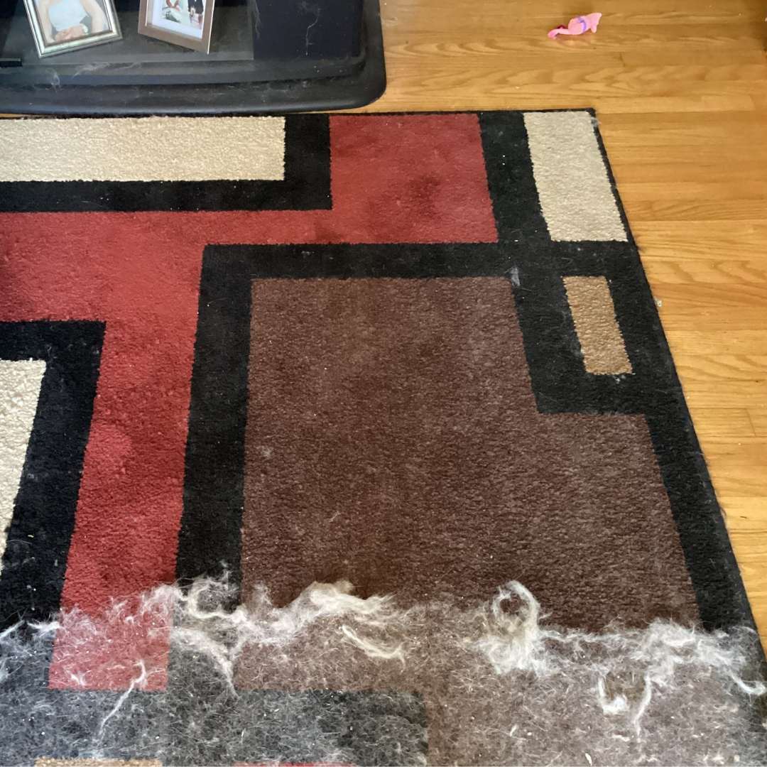 Uproot Clean Pro Pet Hair Tool A Rug and Carpet Deep Cleaning Review