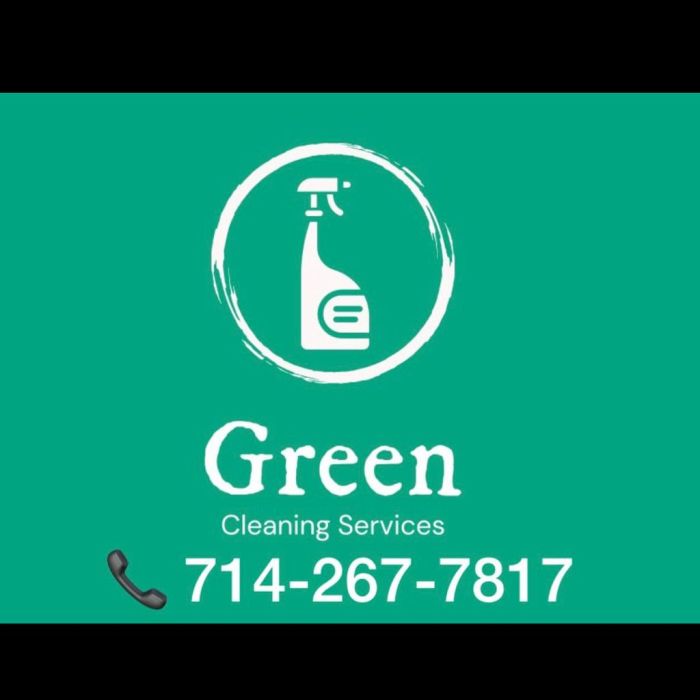 Cleaning Services In Orlando Florida The Ultimate Solution