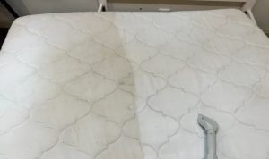 Mattress Steam Cleaning Prices Explained And Compared