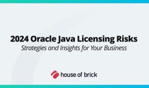 Oracle Database Enterprise Edition Software Unleashed