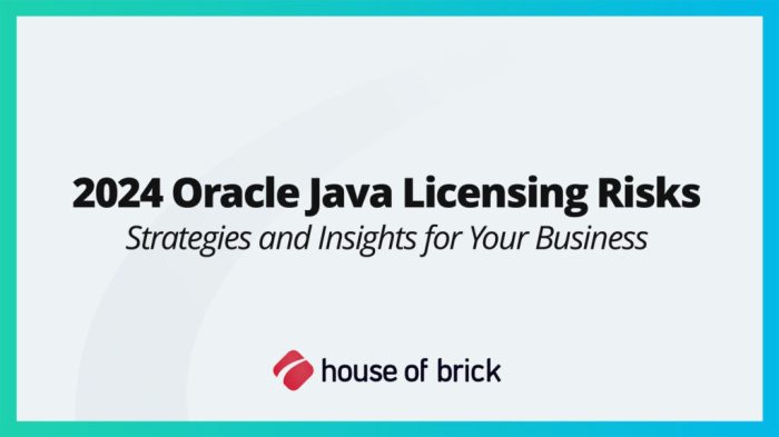 Oracle Database Enterprise Edition Software Unleashed