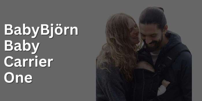 BabyBjörn Baby Carrier One Ergonomic Design Review