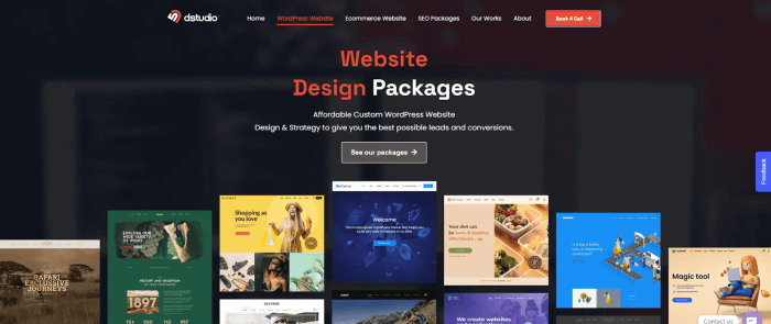 WordPress CMS Website Management Software Made Easy