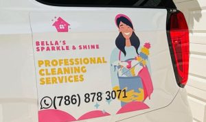 Sparkle N Shine Cleaning Services Revolutionizing Cleanliness