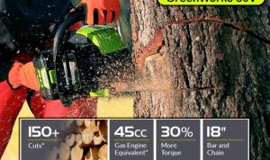 Greenworks Cordless Chainsaw for Garden Maintenance