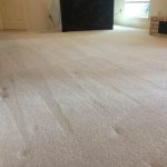 Carpet cleaning wilkes barre for a healthier home