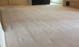 Carpet cleaning wilkes barre for a healthier home
