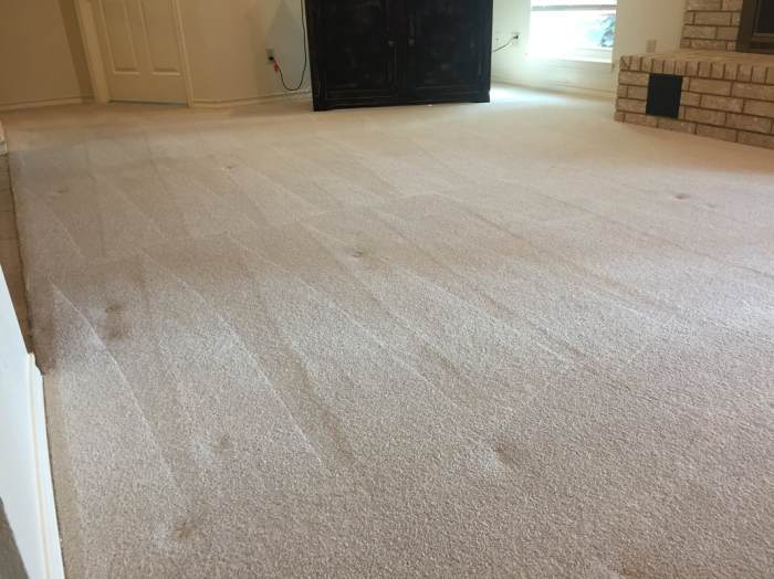 Carpet cleaning wilkes barre for a healthier home