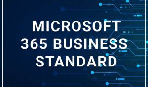 Microsoft 365 Business Standard Productivity Software Suite