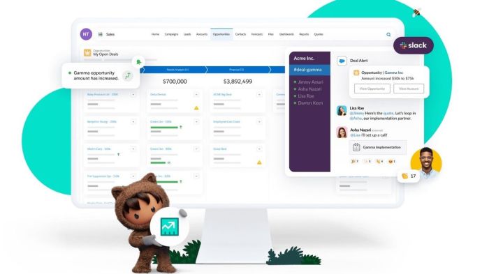 Salesforce CRM Cloud-Based Sales Software Unleashes Potential