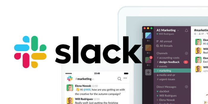Slack Pro Team Collaboration Software for Seamless Work