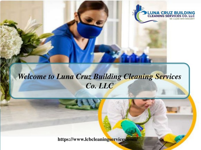 lunas cleaning services – Your Sparkling Solution