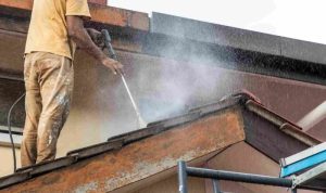 Sprayer For Roof Cleaning The Ultimate Solution