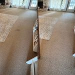 San Antonio Carpet Cleaning Companies Made Easy