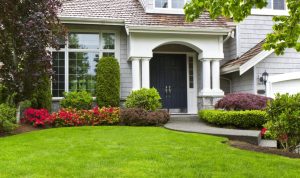 Professional Landscape Design Software Free Download