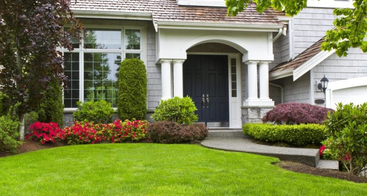 Professional Landscape Design Software Free Download