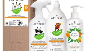 No Chemical Cleaning Products For A Healthier Home